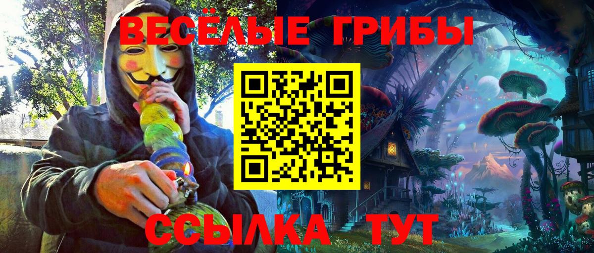 Псилоцибиновые грибы GOLDEN TEACHER  купить наркоту  Псилоцибиновые грибы прущие грибы  Михайловск  Вход с VPN 
