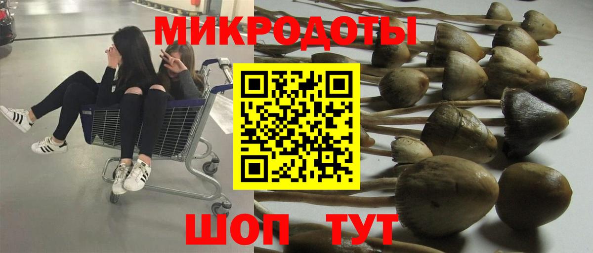 Галлюциногенные грибы ЛСД Михайловск